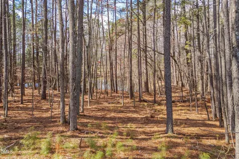 2042 Florine Drive Apex NC 27502