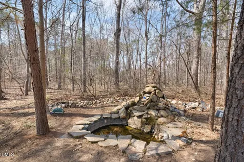 4739 Wild Azalea Place Rougemont NC 27572