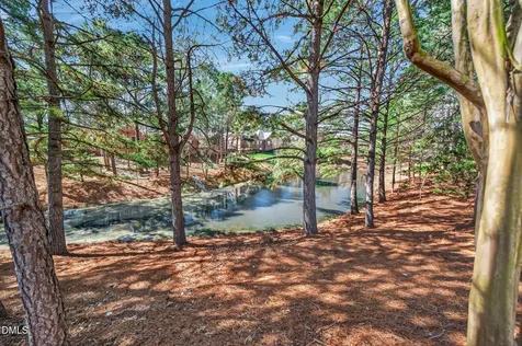 2004 Clyde Bank Court Cary NC 27511