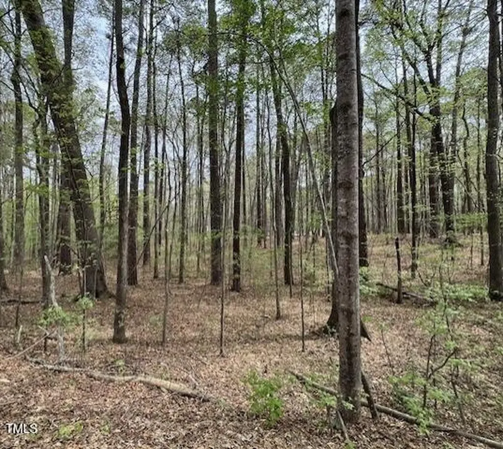 0 Lot 336 Forest Hills Drive Littleton NC 27850