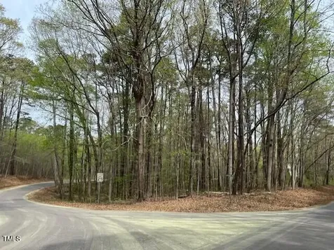 0 Lot 336 Forest Hills Drive Littleton NC 27850
