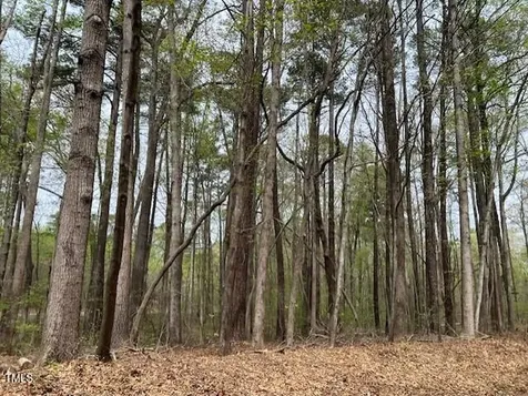 0 Lot 336 Forest Hills Drive Littleton NC 27850
