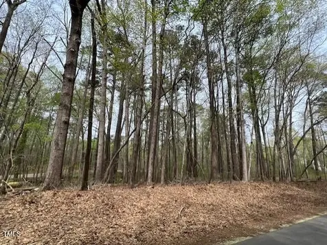 0 Lot 336 Forest Hills Drive Littleton NC 27850
