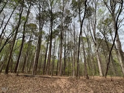 0 Lot 336 Forest Hills Drive Littleton NC 27850