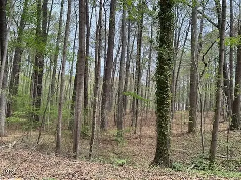 0 Lot 336 Forest Hills Drive Littleton NC 27850