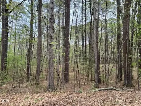 0 Lot 336 Forest Hills Drive Littleton NC 27850