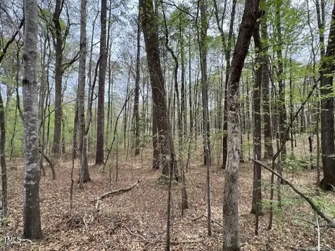 0 Lot 336 Forest Hills Drive Littleton NC 27850