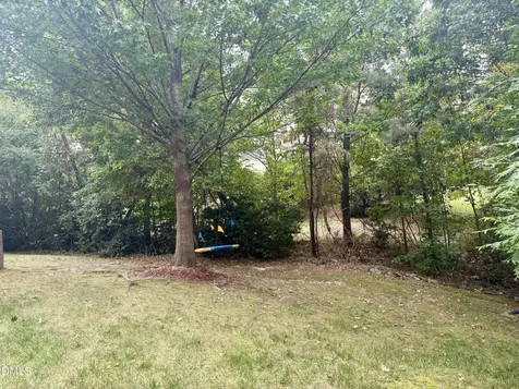 314 Montelena Place Cary NC 27513