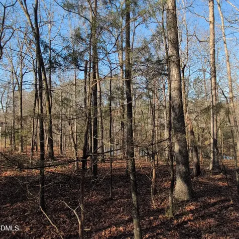 2925 Carriage Meadows Drive Wake Forest NC 27587