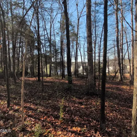 2925 Carriage Meadows Drive Wake Forest NC 27587