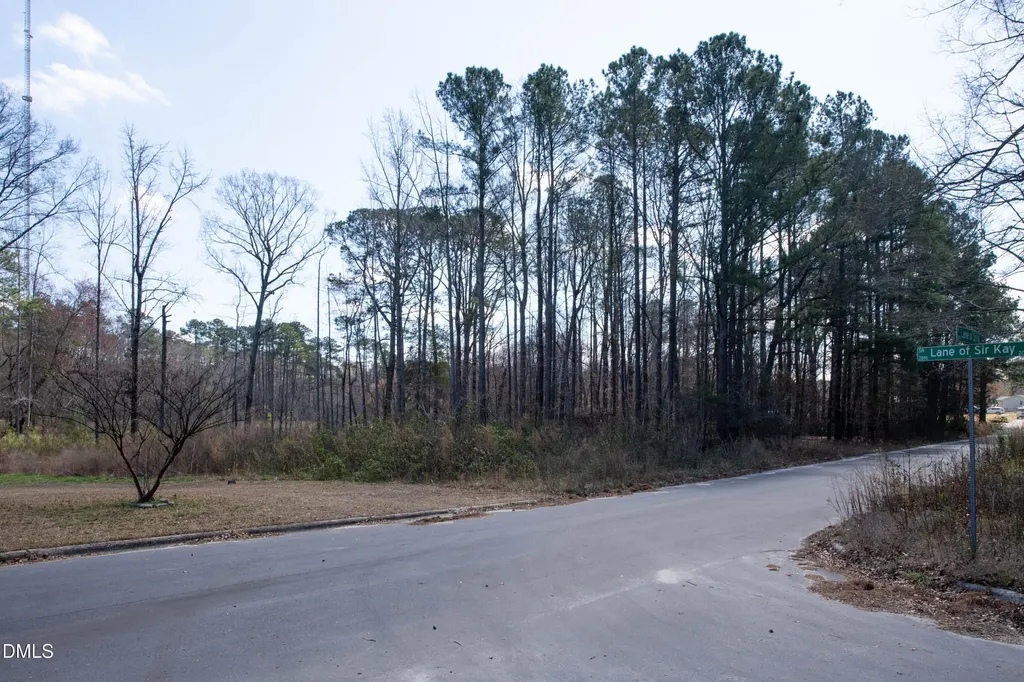 219 Ln Of Sir Kay Garner NC 27529