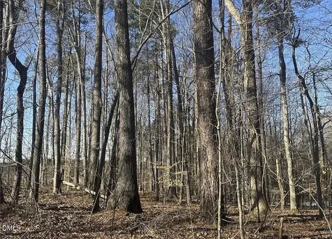 0 Pierce Denny Road Liberty NC 27298