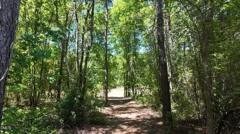 115 Liam Drive Broadway NC 27505