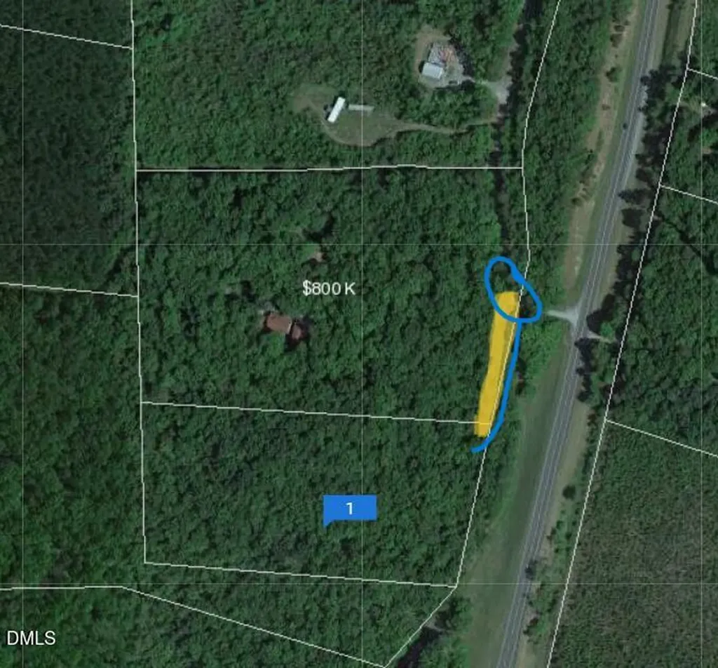25 Screech Owl Moncure NC 27559