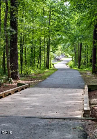 1105 Palisade Bluff Lane Apex NC 27502