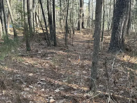 Lots 4 & 5 Simon Collie Road Louisburg NC 27549