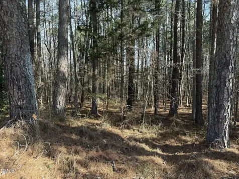 Lots 4 & 5 Simon Collie Road Louisburg NC 27549