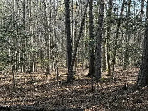 Lots 4 & 5 Simon Collie Road Louisburg NC 27549
