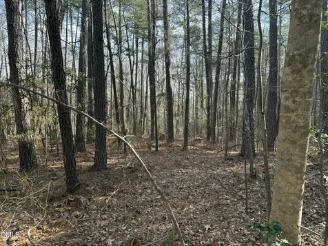 Lots 4 & 5 Simon Collie Road Louisburg NC 27549