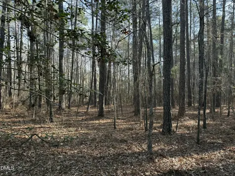 Lots 4 & 5 Simon Collie Road Louisburg NC 27549