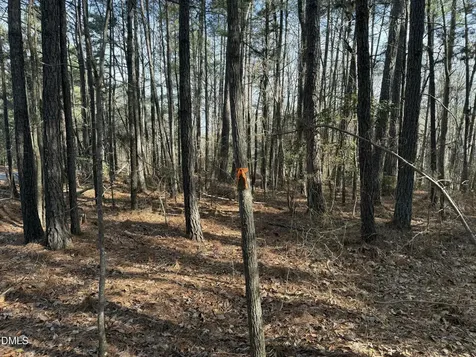 Lots 4 & 5 Simon Collie Road Louisburg NC 27549