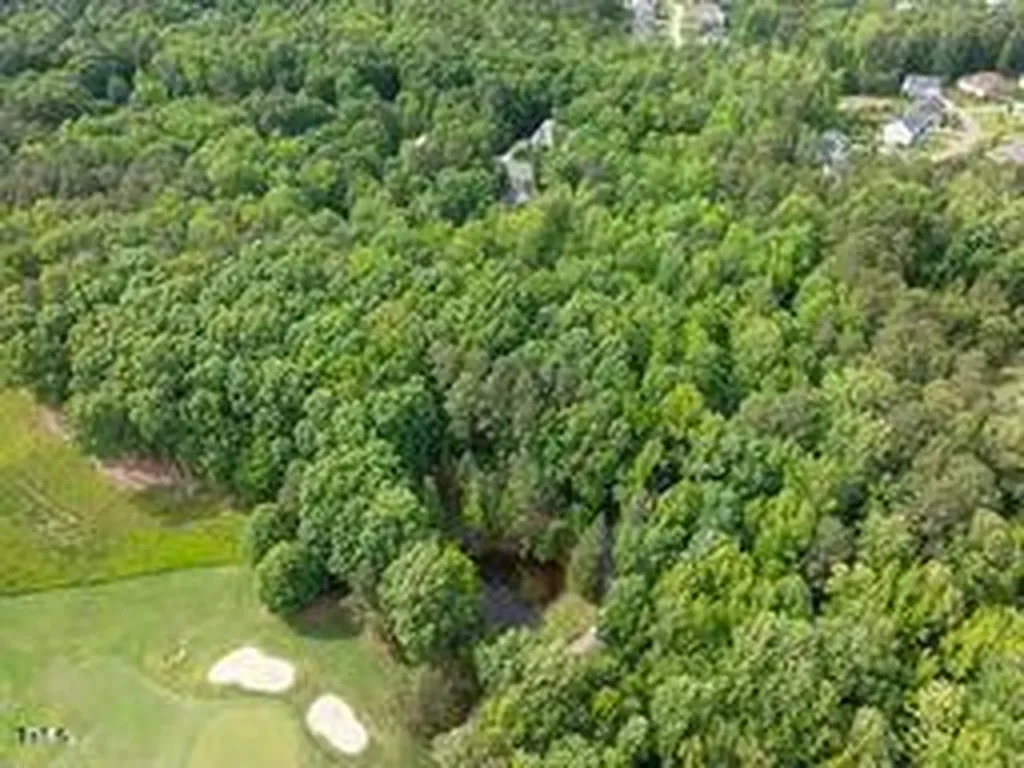 1232 Rivermead Lane Wake Forest NC 27587