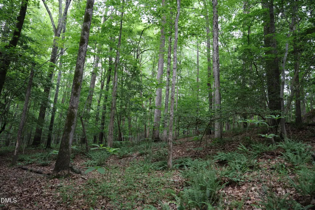 1232 Rivermead Lane Wake Forest NC 27587