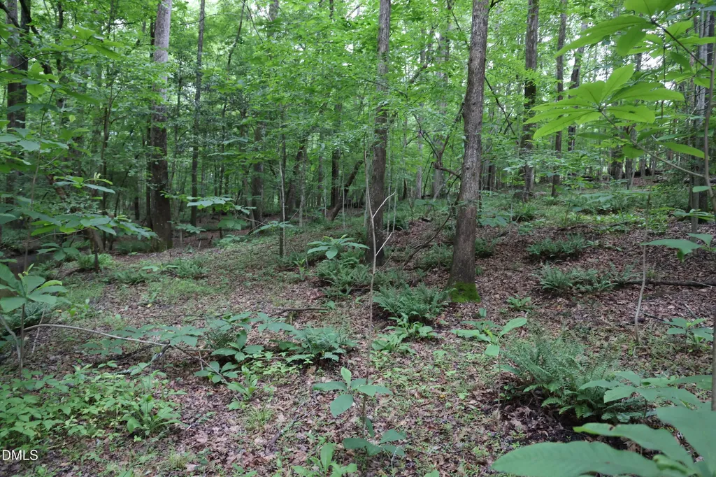 1232 Rivermead Lane Wake Forest NC 27587