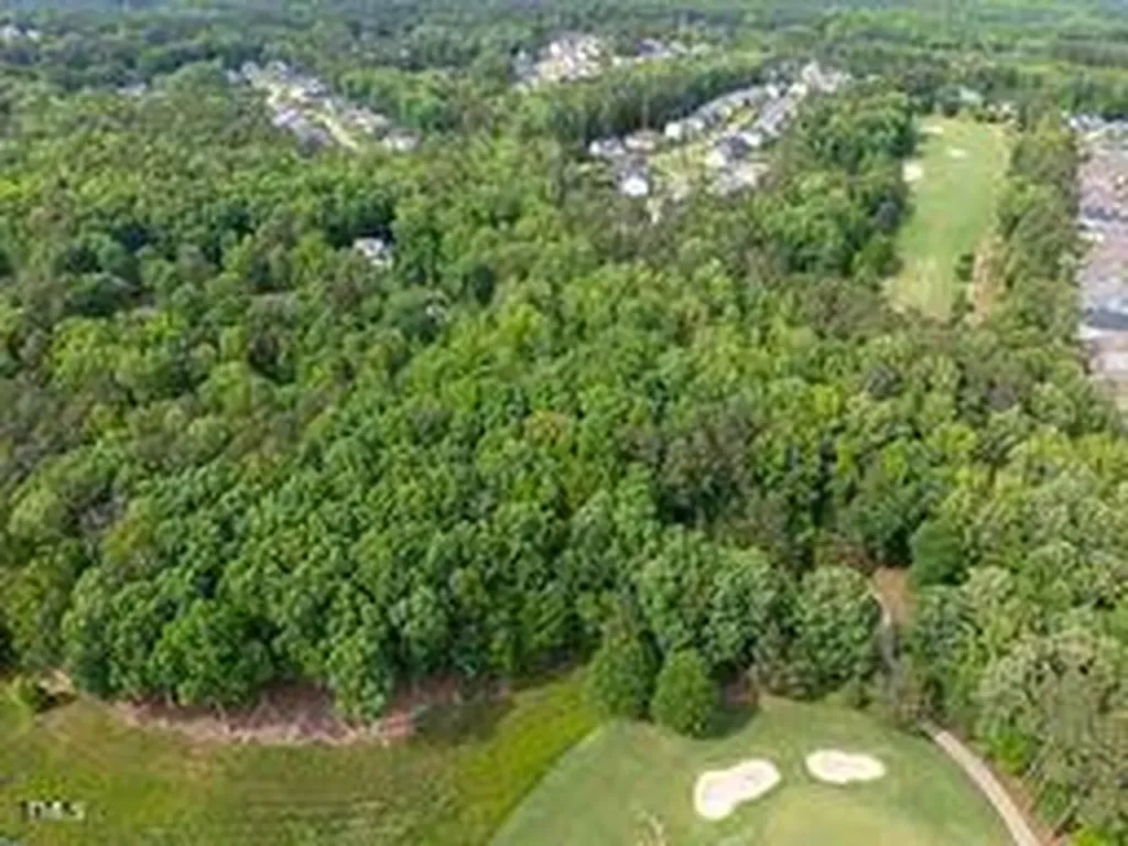 1232 Rivermead Lane Wake Forest NC 27587