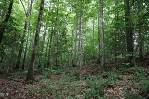 1232 Rivermead Lane Wake Forest NC 27587