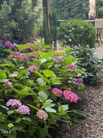 7804 Milltrace Run Raleigh NC 27615