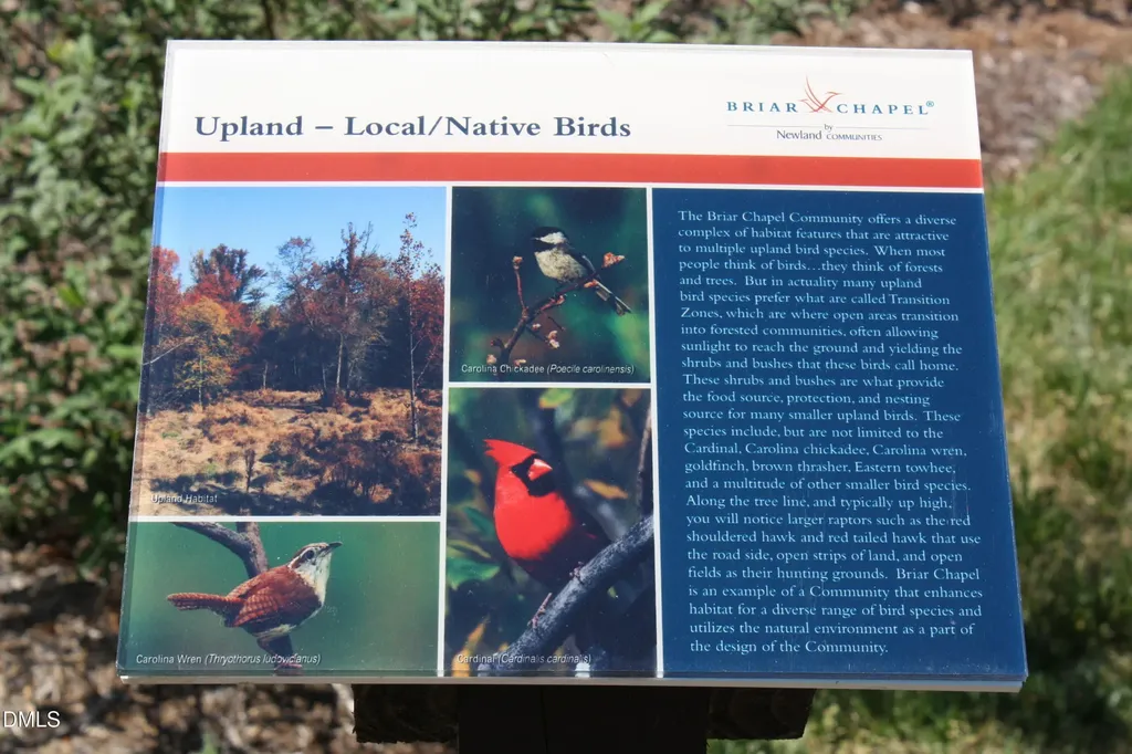 57 Vandalia Avenue Chapel Hill NC 27516