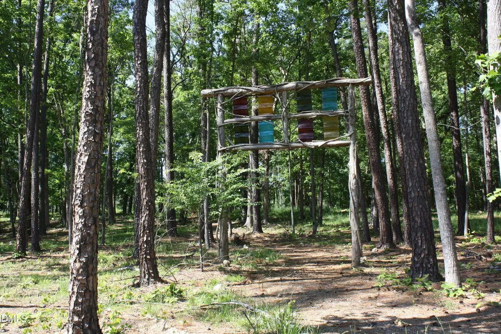 57 Vandalia Avenue Chapel Hill NC 27516