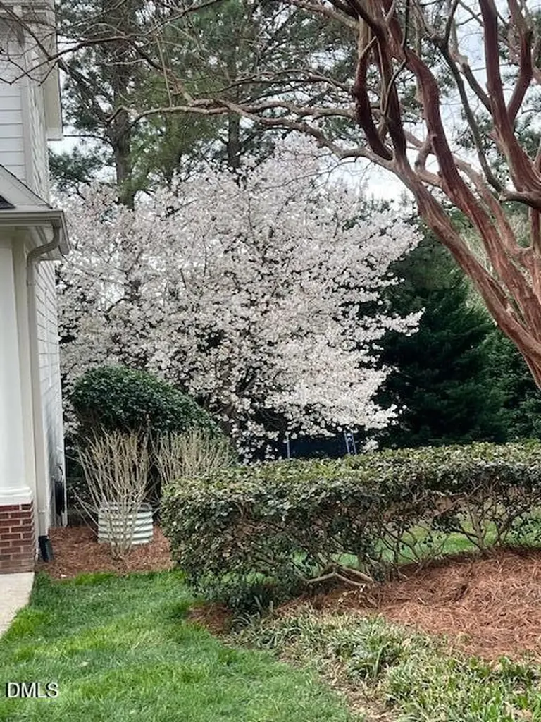 3924 Forgotten Pond Avenue Wake Forest NC 27587