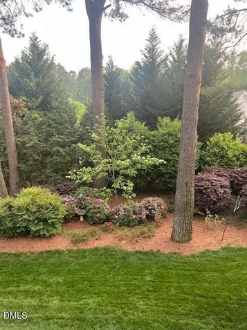 3924 Forgotten Pond Avenue Wake Forest NC 27587