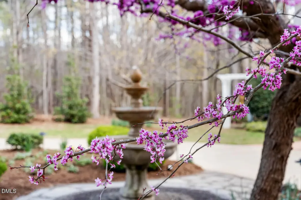 801 Oxbow Crossing Road Chapel Hill NC 27516
