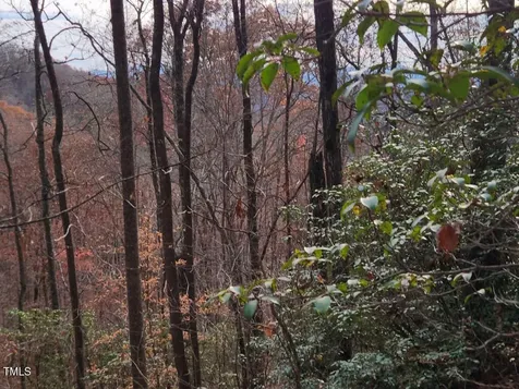 0 Bear Cove Circle Bryson City NC 28713