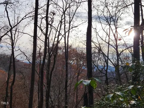 0 Bear Cove Circle Bryson City NC 28713