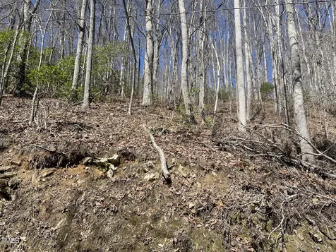 0 Bear Cove Circle Bryson City NC 28713