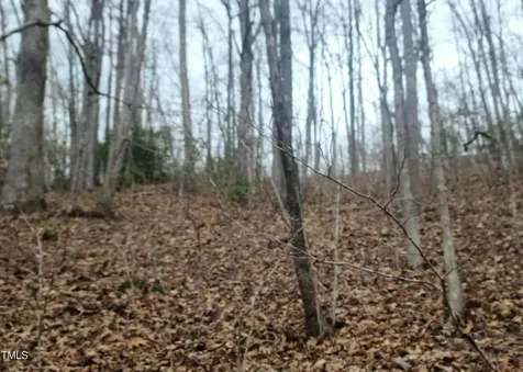 0 Bear Cove Circle Bryson City NC 28713