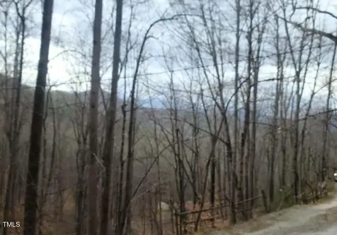 0 Bear Cove Circle Bryson City NC 28713