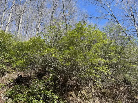 0 Bear Cove Circle Bryson City NC 28713