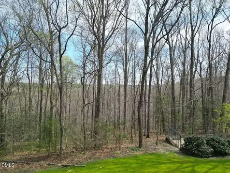 1005 Creek Front Court Willow Springs NC 27592