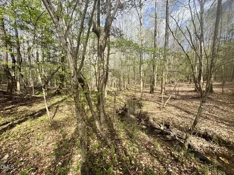 0 Westerman Place Smithfield NC 27577
