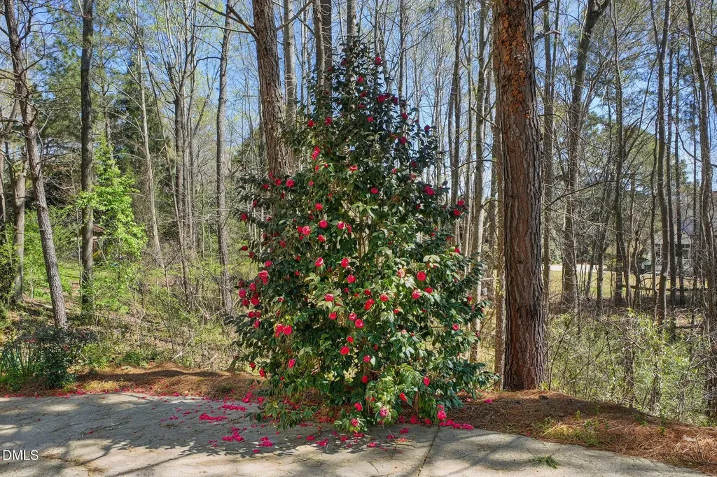 120 Kelsey Court Clayton NC 27520