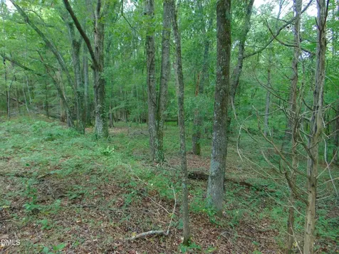 Lot 2 Caviness Jordan Road Cedar Grove NC 27231