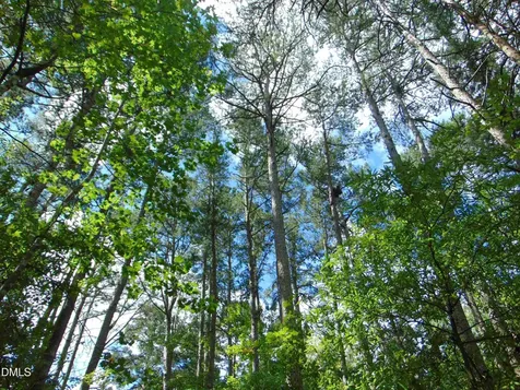 Lot 2 Caviness Jordan Road Cedar Grove NC 27231