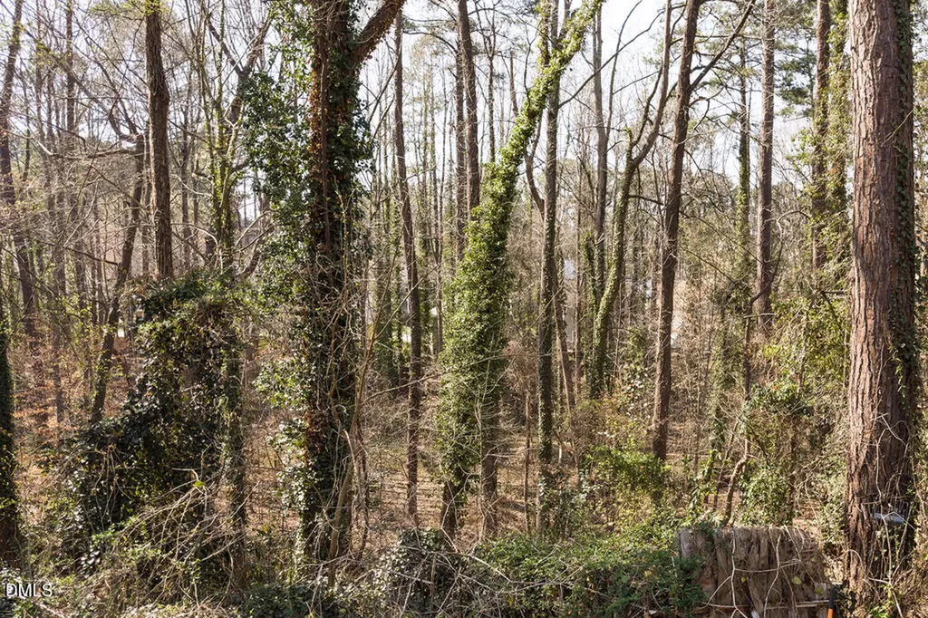 4017 Balsam Drive Raleigh NC 27612