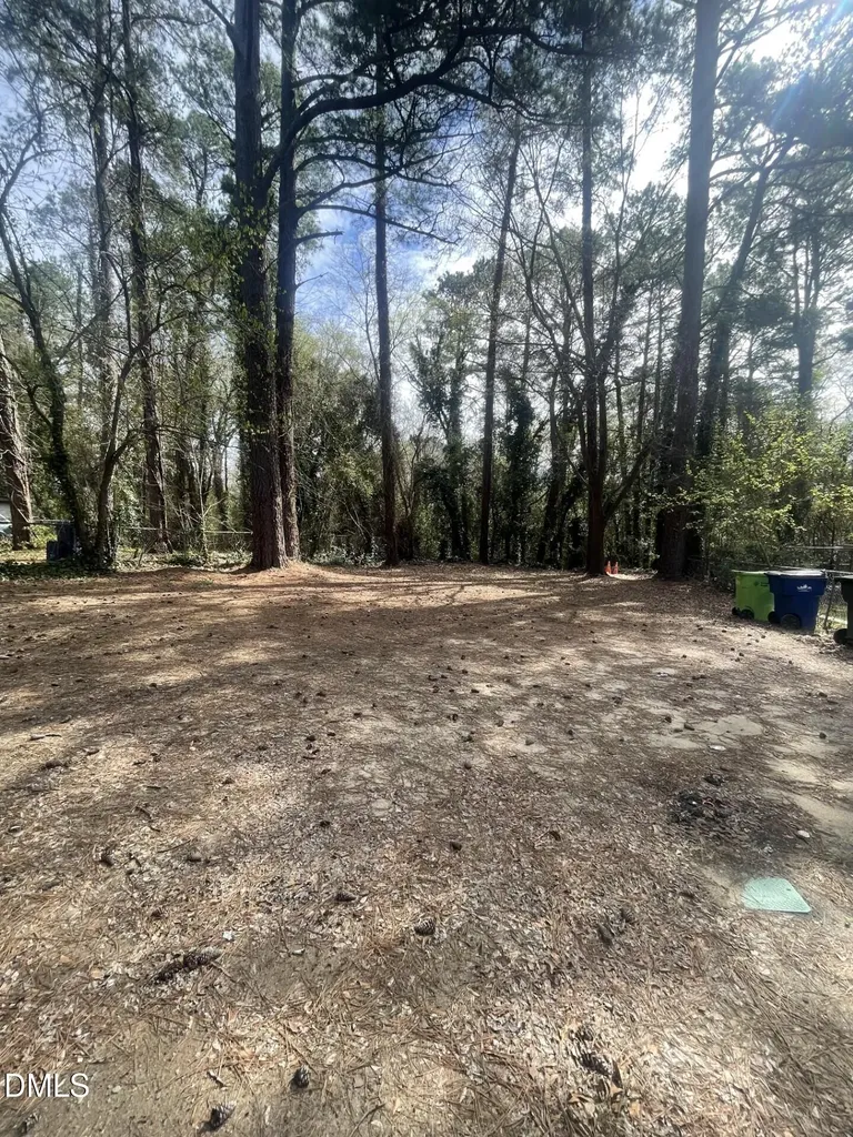 313 Angier Avenue Raleigh NC 27610