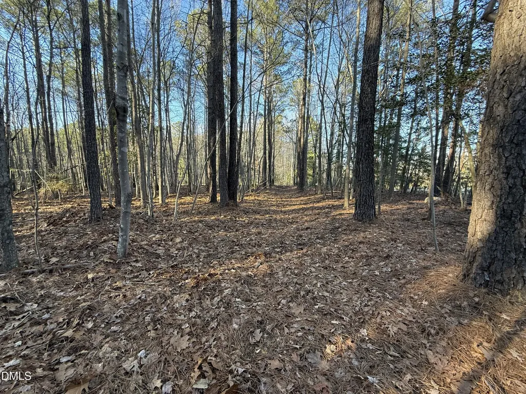 01 Massey Road Zebulon NC 27597